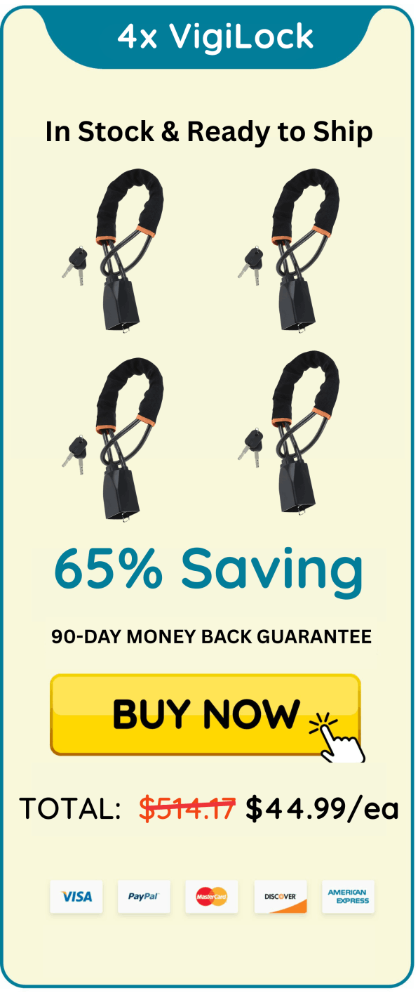 VigiLock Discount Package 4